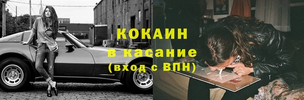 дживик Новозыбков