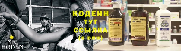 дживик Новозыбков
