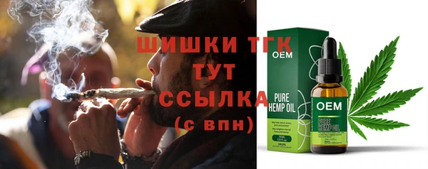 твердый Новодвинск