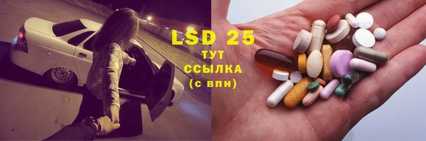 дживик Новозыбков
