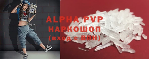 твердый Новодвинск