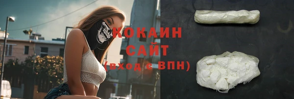 твердый Новодвинск