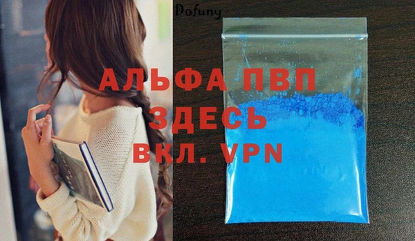 твердый Новодвинск