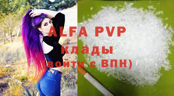 дживик Новозыбков