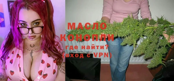 твердый Новодвинск