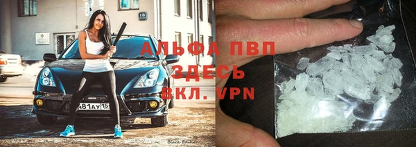 дживик Новозыбков