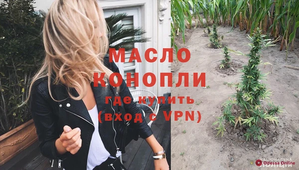 твердый Новодвинск