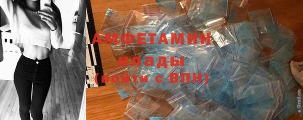 твердый Новодвинск