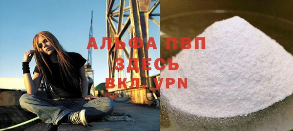 дживик Новозыбков