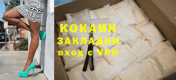 твердый Новодвинск