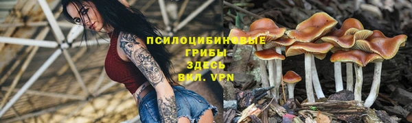 дживик Новозыбков