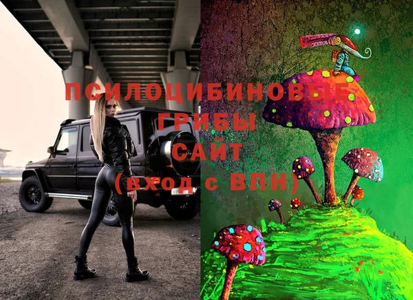твердый Новодвинск