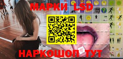 дмт Кингисепп