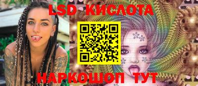 дмт Кингисепп