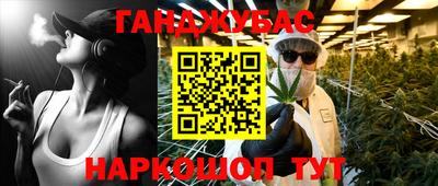 дмт Кингисепп