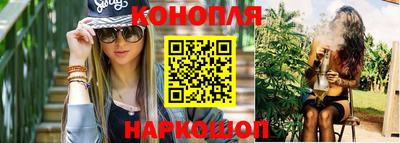 дмт Кингисепп