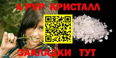 дмт Кингисепп